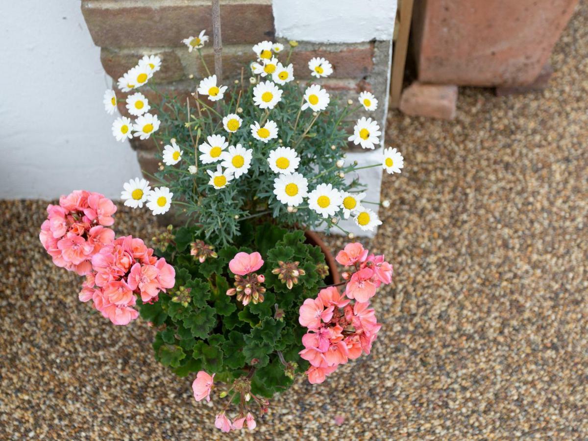 Little England Cottage Milborne Saint Andrew Exteriör bild